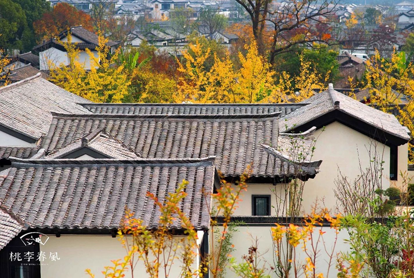 万利·(中国区)有限公司官网