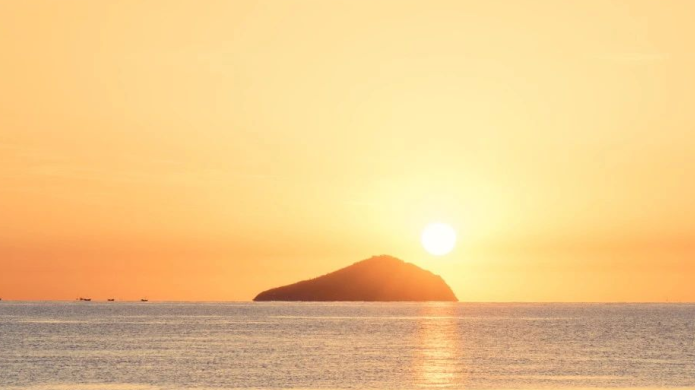 万利·(中国区)有限公司官网